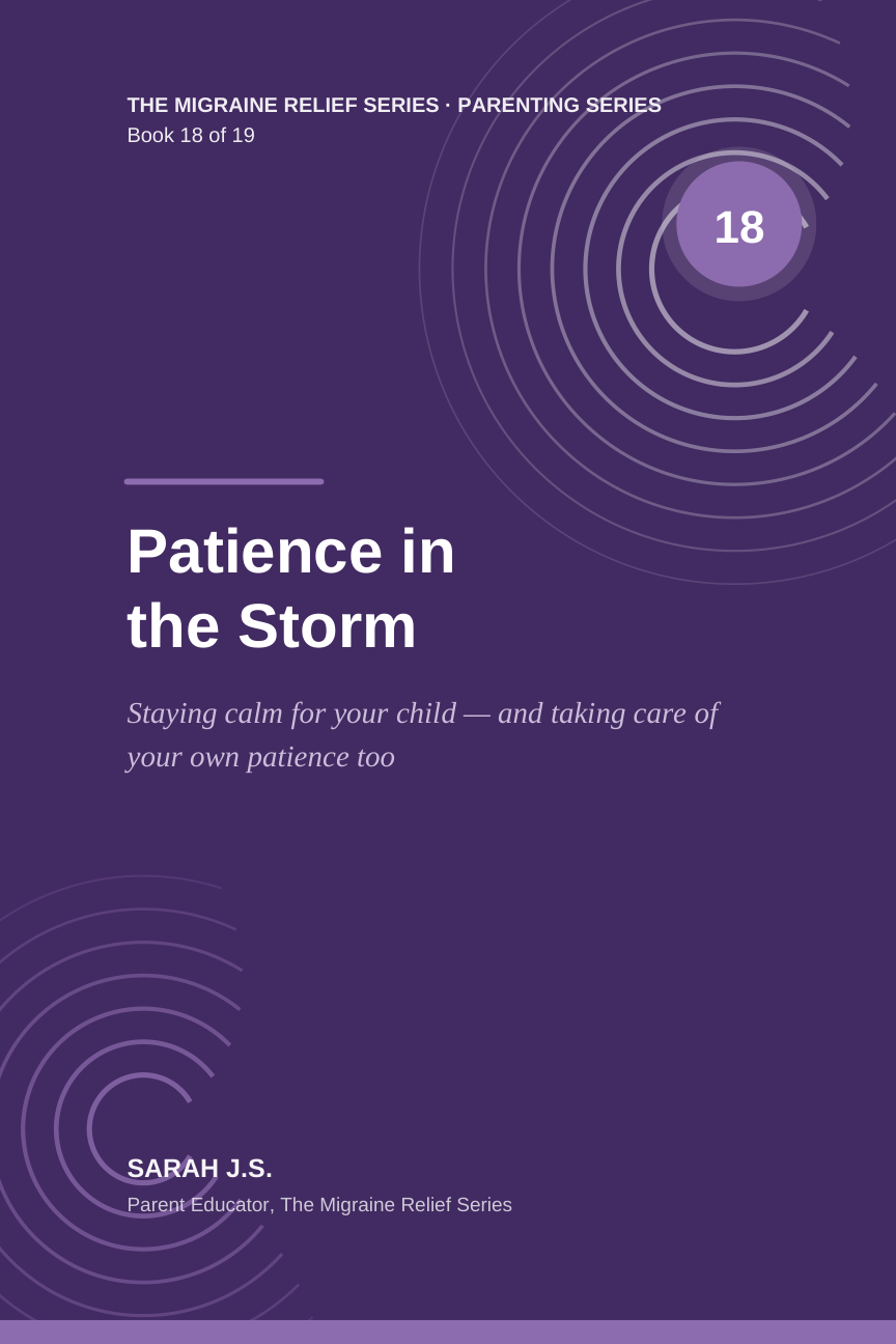 Cover of Patience in the Storm
