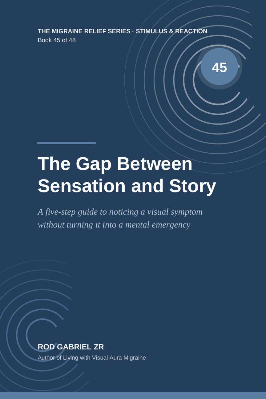 Cover of The Gap Between Sensation and Story