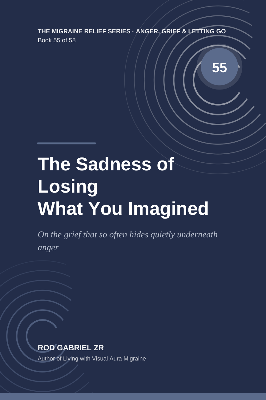Cover of The Sadness of Losing What You Imagined